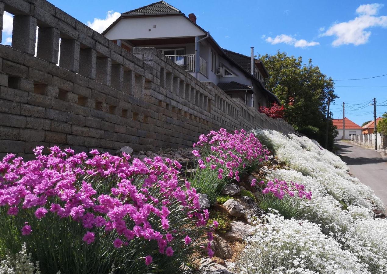 Szabo Vendeghaz Hotel Villány Екстериор снимка